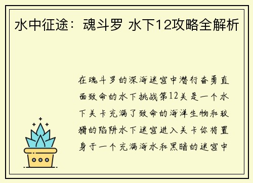水中征途:魂斗罗 水下12攻略全解析